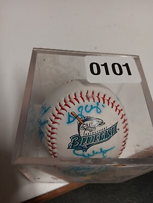 #ad Blueport Blue Fish Players Autographed Baseball $59.99