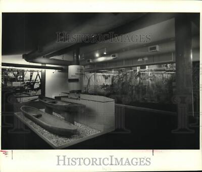 #ad 1986 Press Photo Exhibits at Jean Lafitte National Historical Park nob64329 $16.99