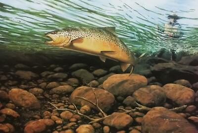 #ad Perfect Deception Fred W Thomas LTD Edition Hand Signed Fish Lithograph UNFRAMED $320.00