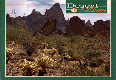 #ad Southwest cactus flowers mountain backdrop Randy A. Prentice postcard $9.89