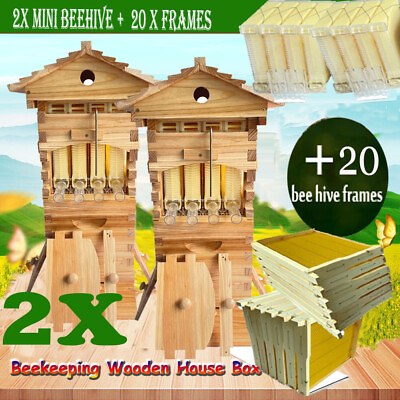 #ad 2X Beehive mini Box Kit Bee Honey Hive 20 X Comb Frames Brood Fir Wood Frames $299.99