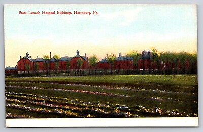 #ad State Lunatic Insane Hospital Buildings Harrisburg Pennsylvania c1910 Postcard $9.95