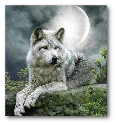 #ad White Wolf 5D Picture Diamond Painting Kit Embroidery Gems Cross Stitch DIY Art $63.44