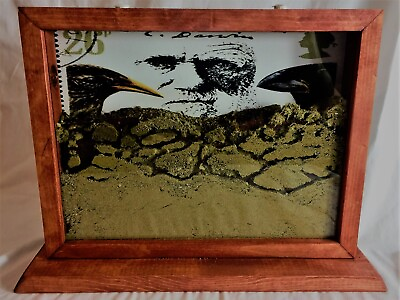 #ad Charles Darwin Ant Farm for Sale Vintage wood frame for science educational toy $125.95