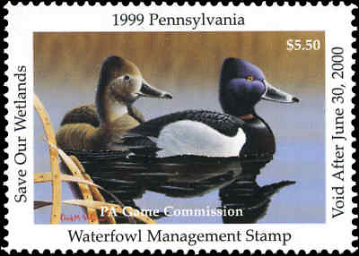 #ad PENNSYLVANIA #17 1999 RING NECKED DUCK STATE DUCK STAMP by Clark Weaver $9.00