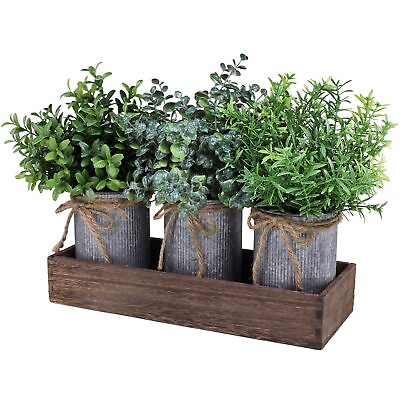 #ad Set of 3 Mini Potted Plants Arrangement Faux Boxwood Eucalyptus Rosemary Plan... $36.46