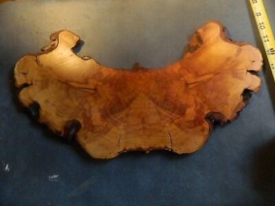 #ad #3 117 YR OLD CATAWBA ISLAND OHIO PLUMB TREE BOOKMATCHED BURL 16quot; WIDE 3 8quot; TH $89.00