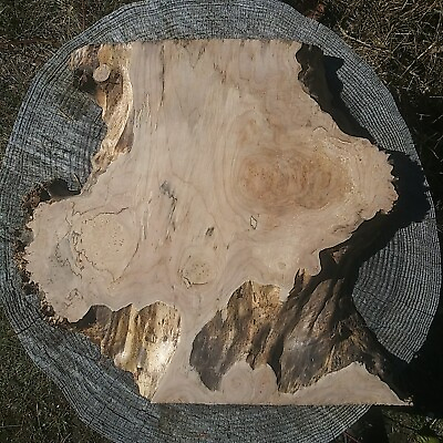 #ad Maple Burl Spalted For Your Wood Art Projects. 17.5quot;×18quot;×1.25quot; $60.00