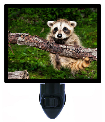 #ad Raccoon Decorative Photo Night Light Baby Raccoon Wildlife $30.49