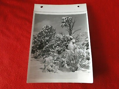 #ad Vintage 1930s 40s Colorado Linen Backed Silver Gelatin Photo Winter Snow $30.00