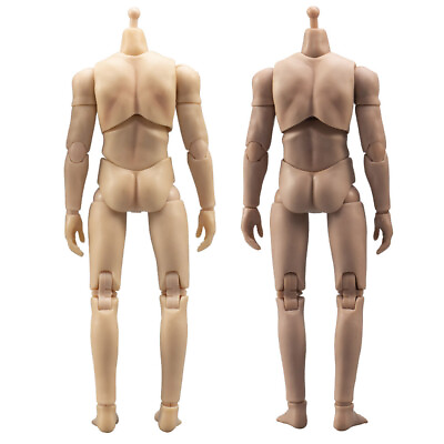 1 12 Male Normal Suntan Skin Flexible 6inch Muscular Action Figure Body Toys NEW $18.89