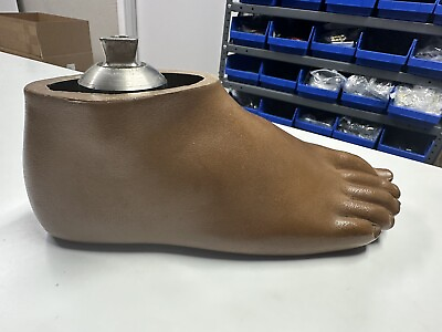 #ad Prosthetic Foot Right Size 23E $149.99