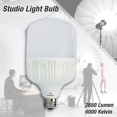 #ad LSP 30W 2650lm Super Day Cool White Bright 6000K LED Flood Light Spot Light Bulb $12.52