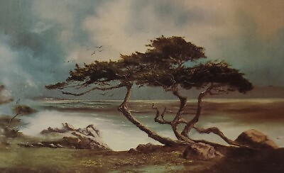 #ad Cypress Tree Carmel Bay Painted Verna McCubbin Carmel CA Postcard $7.00