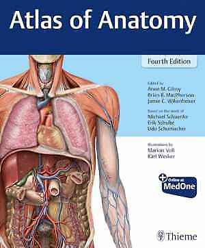 #ad Atlas of Anatomy Paperback by Gilroy Anne M; MacPherson Brian Very Good q $58.80