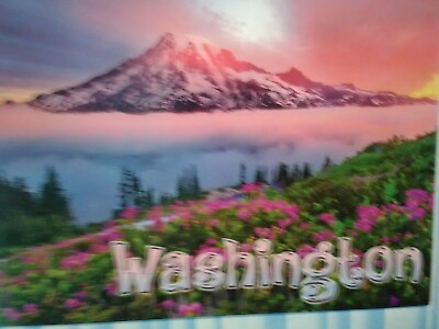 #ad BEAUTIFUL POST CARD SUNRISE MOUNT RAINIER NATIONAL PARK WASHINGTON $2.29