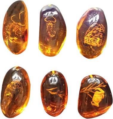 5Pcs Amber Fossil with Insects Samples Stones Crystal Specimens Home Decorations $22.95