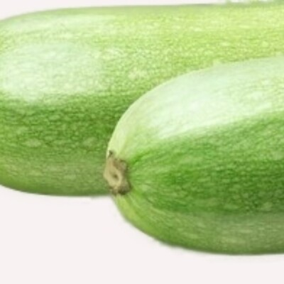 #ad Italian Squash Zucchini Seeds NON GMO Heirloom Fresh Garden Seeds $4.00