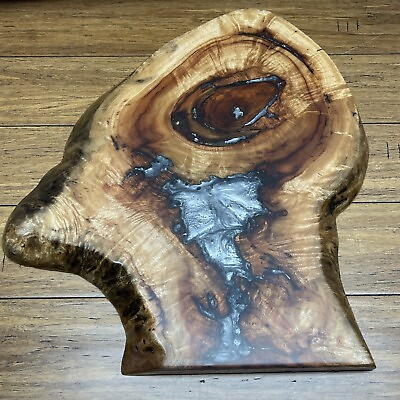 #ad Handmade Florida Camphor Tree Slice Silver Lake Epoxy Resin Artwork Tabletop GL $225.00
