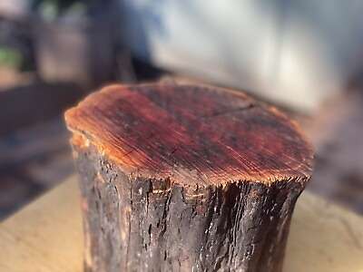 #ad Manzanita Wood Rounds For Lathe Bowl Making exotic Lumber 5x6 Kiln Dried $59.43