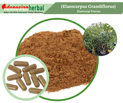 #ad FRESH POWDER Elaeocarpi Fructus Elaeocarpus Grandiflorus Organic Fresh Natural $131.00