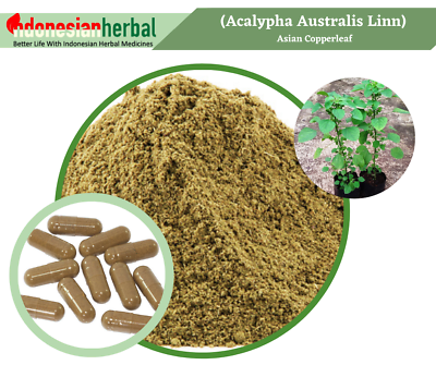 #ad FRESH POWDER Asian Copperleaf Acalypha Australis Organic Fresh Natural $163.50