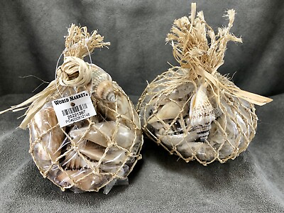 #ad World Market Bag of Mixed Sea Shells Set of Two 4quot; Nautical Craft Beach Decor $24.56
