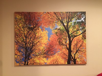 #ad The Color of Fall 2015 original digital photo print on canvas 30quot;x40quot; $238.00