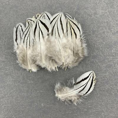 #ad 100 Pcs 5 10CM 2 4Inch Natural Plumes Silver Pheasant Tail Feathers For Crafts $15.99