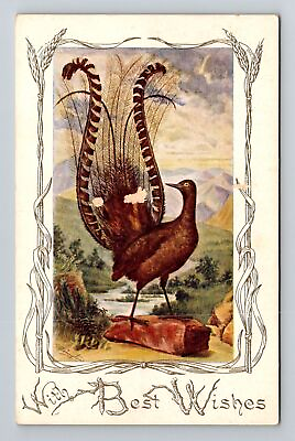 #ad New South Wales Australia Lyre Bird Found mostly in Australia Vintage Postcard $7.99