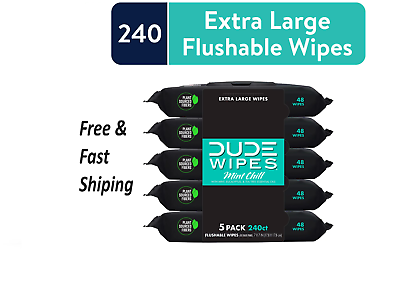 #ad DUDE Wipes Flushable Wipes XL Wet Wipes for At Home Use Mint Chill 240 Count $13.29