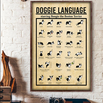 #ad Doggie Language Starring Boogie The Boston Terrier Knowledge Poster $30.14