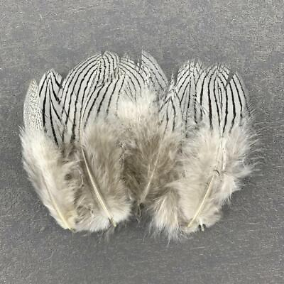#ad 100Pcs 5 10CM 2 4Inch Silver Pheasant Tail Feathers Crafts DIY Plumes $15.19