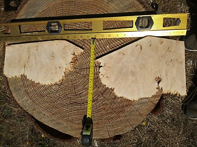 #ad Maple Burl for Your Wood Working Projecs. Half inch Thick $45.00