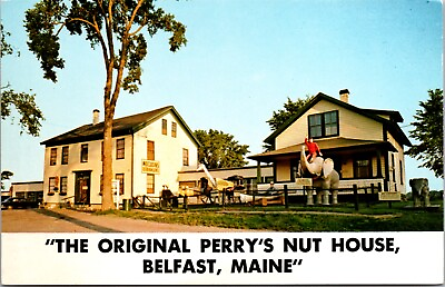 #ad Postcard The Original Perry#x27;s Nut House in Belfast Maine $8.00
