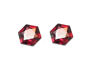 #ad Garnet Hexagon Gemstone Cuts 10 MM Garnet Handmade Cuts Garnet Six Corner 6pc $41.90