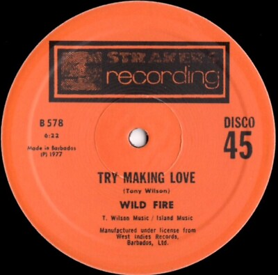 #ad WILD FIRE quot; TRY MAKING LOVE quot; NEW 12 DANCE DISCO SOUL FUNK BOOGIE GBP 15.99