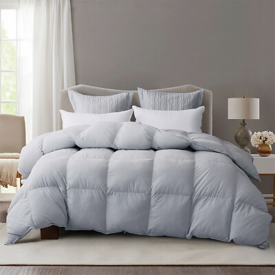 #ad Snowman Gray Ultra Soft All Season Goose Down Comforter Duvet Insert Queen Size $40.50