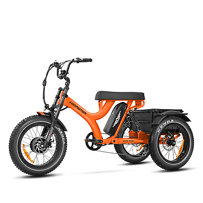 #ad ADDMOTOR Electric Trike750W 85MI 48V Fat Trie Etrike with Parking Brake Tricycle $2599.00