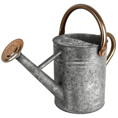 #ad 1 Gallon Silver Colored Watering Can Metal Watering Can with Removabl $20.48