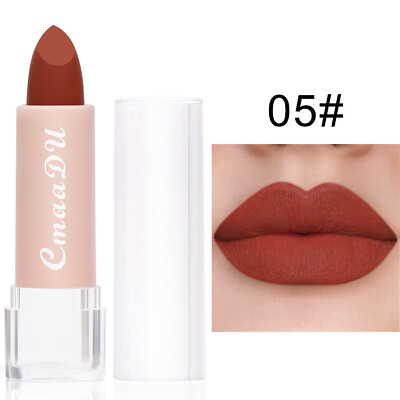 #ad Waterproof Velvet Matte Lipstick Long Lasting Lip Stick Makeup Lip Tint Cosmetic $2.10