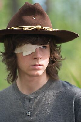 #ad The Walking Dead Carl Grimes green background 20 x 30 Poster $19.99