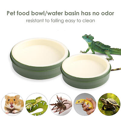 #ad Reptile Water Bowl Food Feeder Dish Plate for Drinking Reusable Feeding Dish $7.99