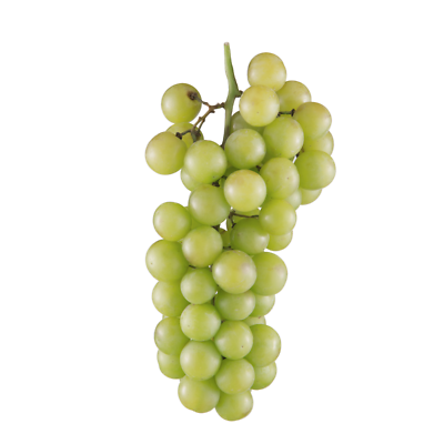#ad GREEN GRAPES SEEDLESS FRESH PRODUCE FRUIT VEGETABLES 1 LB EACH 1 $29.14