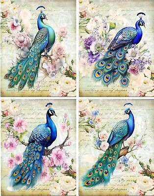 #ad Peacocks Vintage 8 glossy blank note cards with envelopes and organza bag $15.95