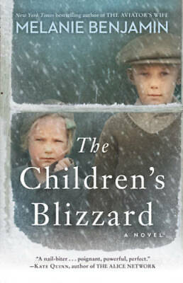 #ad The Childrens Blizzard: A Novel Paperback By Benjamin Melanie GOOD $4.42