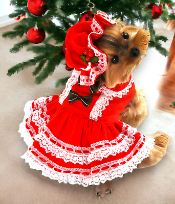 #ad Candy Cane Cutie Dog Costume Medium 16 Inch Dress and Bonnet Anit Accessories $19.99