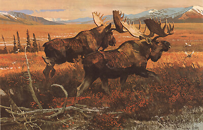 #ad Bob Kuhn 1920#x27;s Moose Across the Tundra 13x19 Print Sporting Art Hunting $14.99