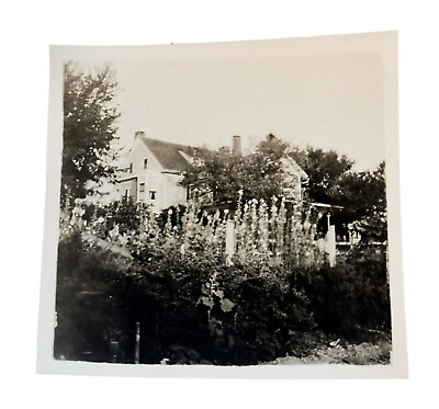 #ad Antique Photo Farm House Garden Tall Flowers In Front $15.50