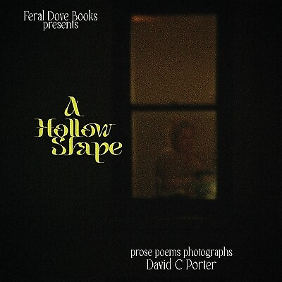 #ad A Hollow Shape: prose poems photographs Porter David C. $17.95